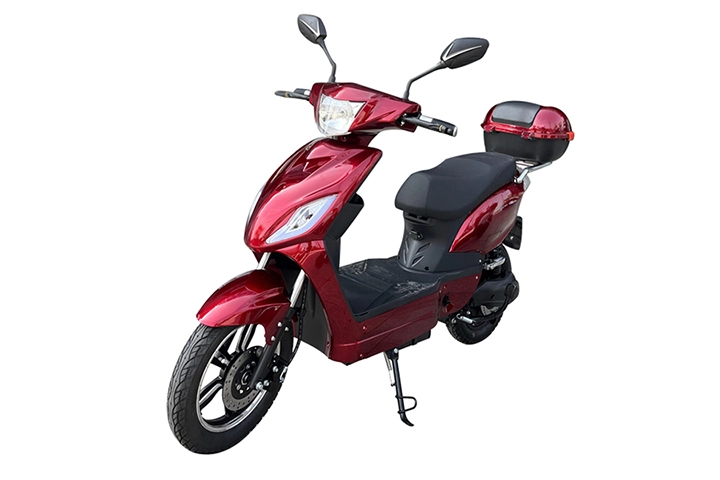 EEC Electric Scooter 