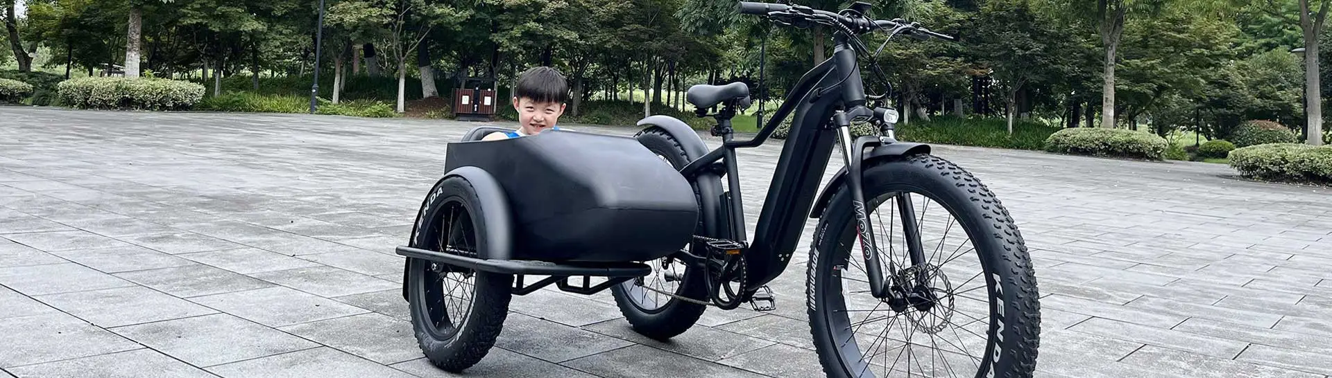 Electric bike with sidecar