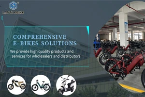 Start New Year with Lantu Ebike