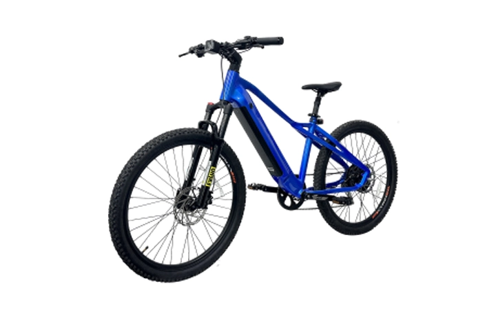 500w Hidden Battery Electric Mountain Bike-2.webp
