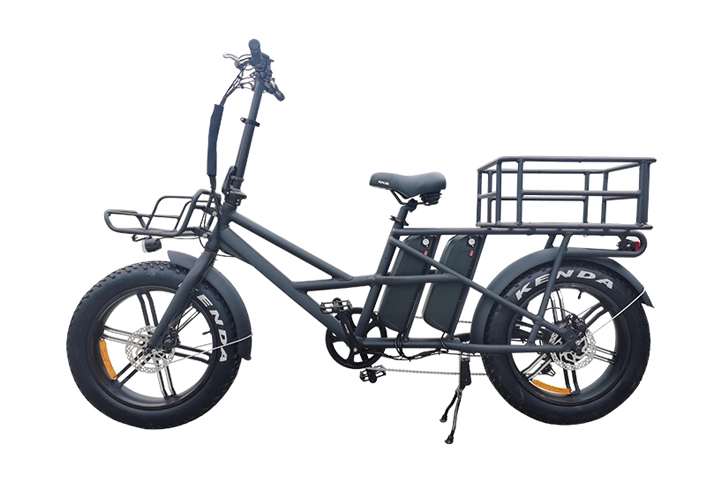Dual Battery Electric Bike-2.webp