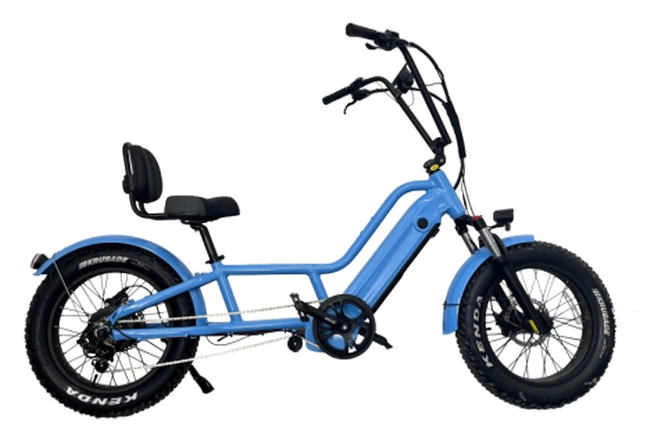 20 Inch Ebike Electric Recumbent Bike