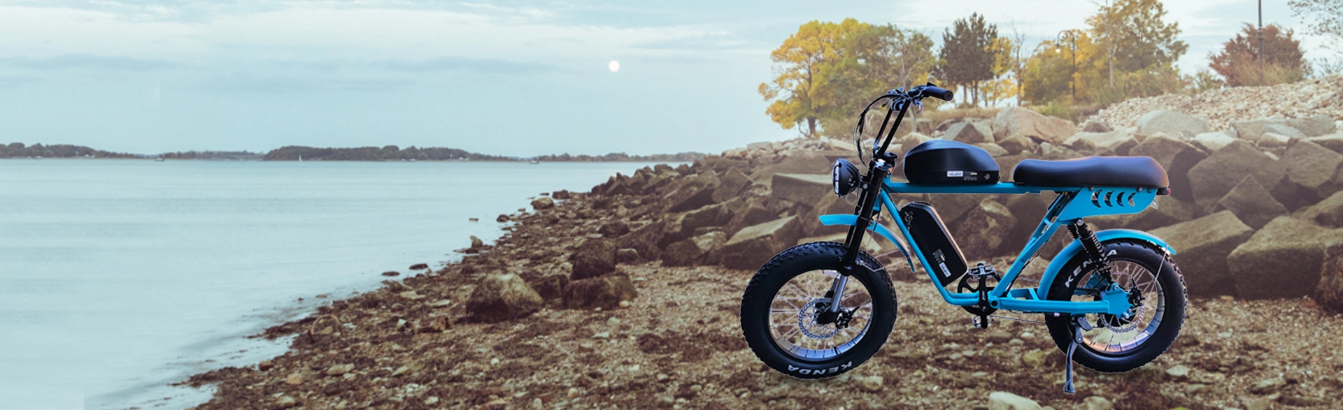 Dual Battery Moped Style Fat Tire E-Bike