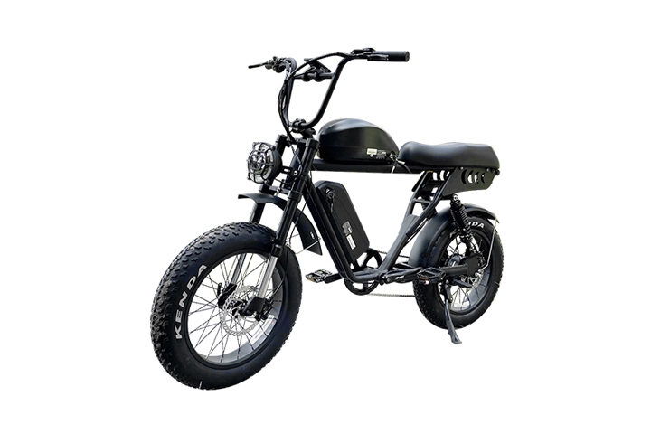 1500w Dual Battery Fat Tire Electric Bike