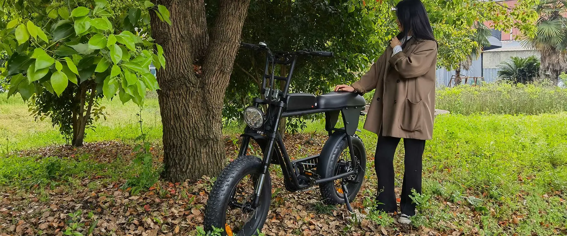 Geometry Of Moped Style Electric Bike-2.webp