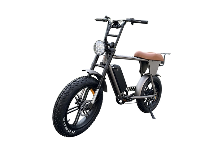 Sand Bike Electric: Moped Style Electric Bike