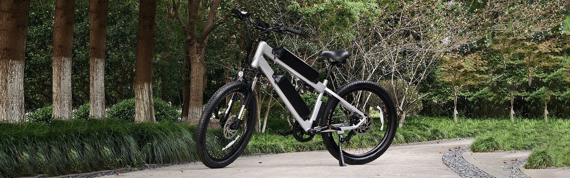 Long Range Dual Battery EMTB Electric Mountain E-bike