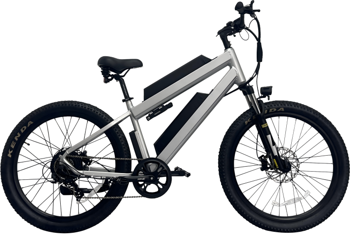 Long Range Dual Battery EMTB Electric Mountain E-bike