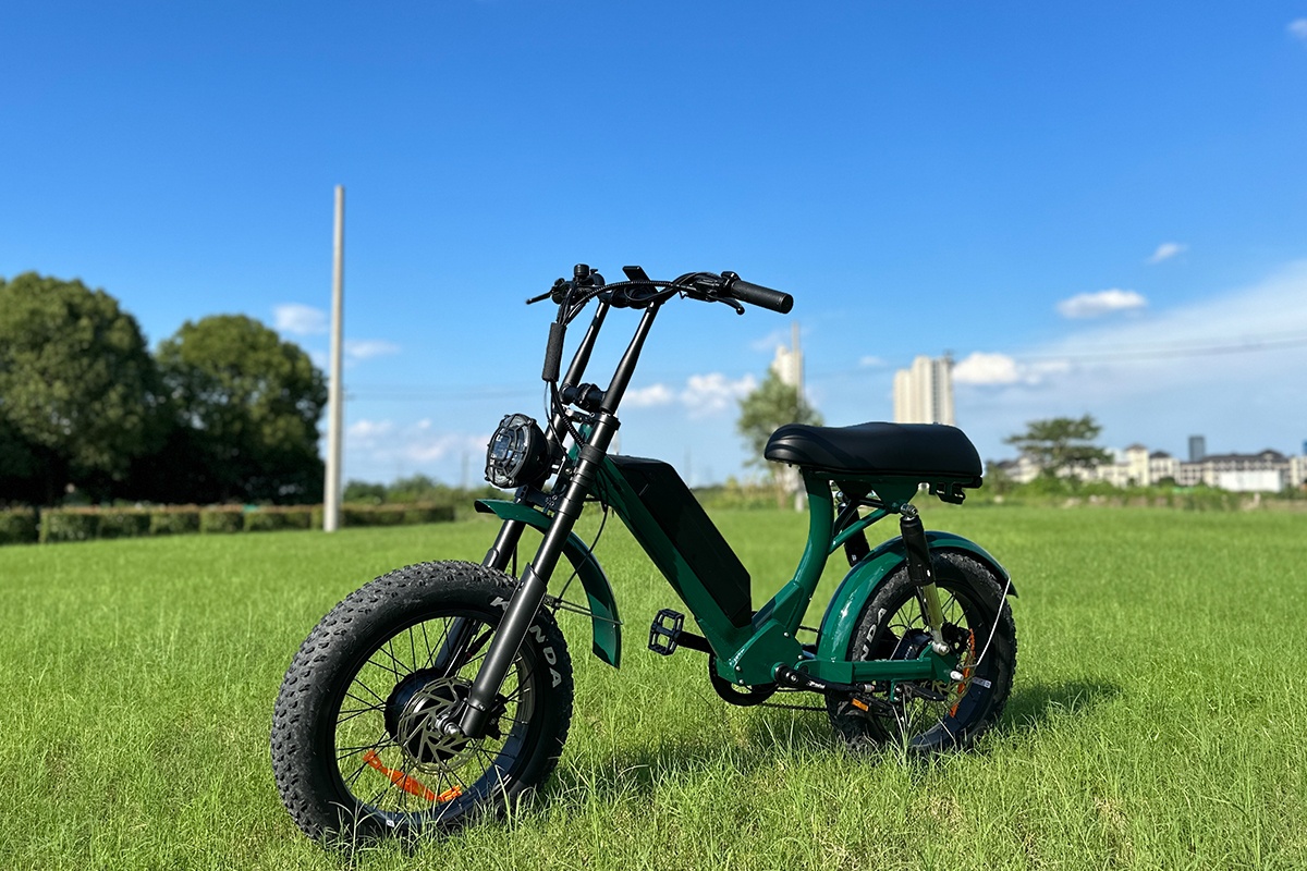 E-Bike helps maintain exercise and health-2.png