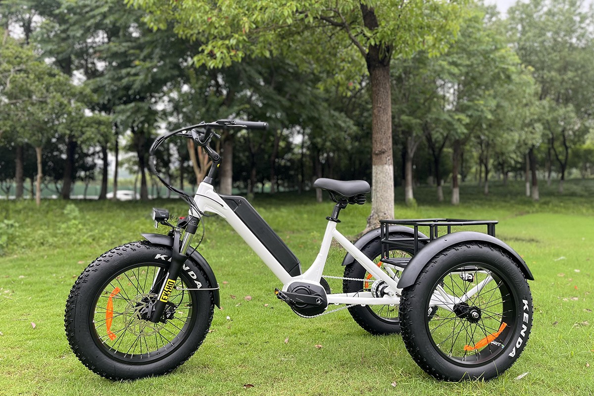 fat ebike.png
