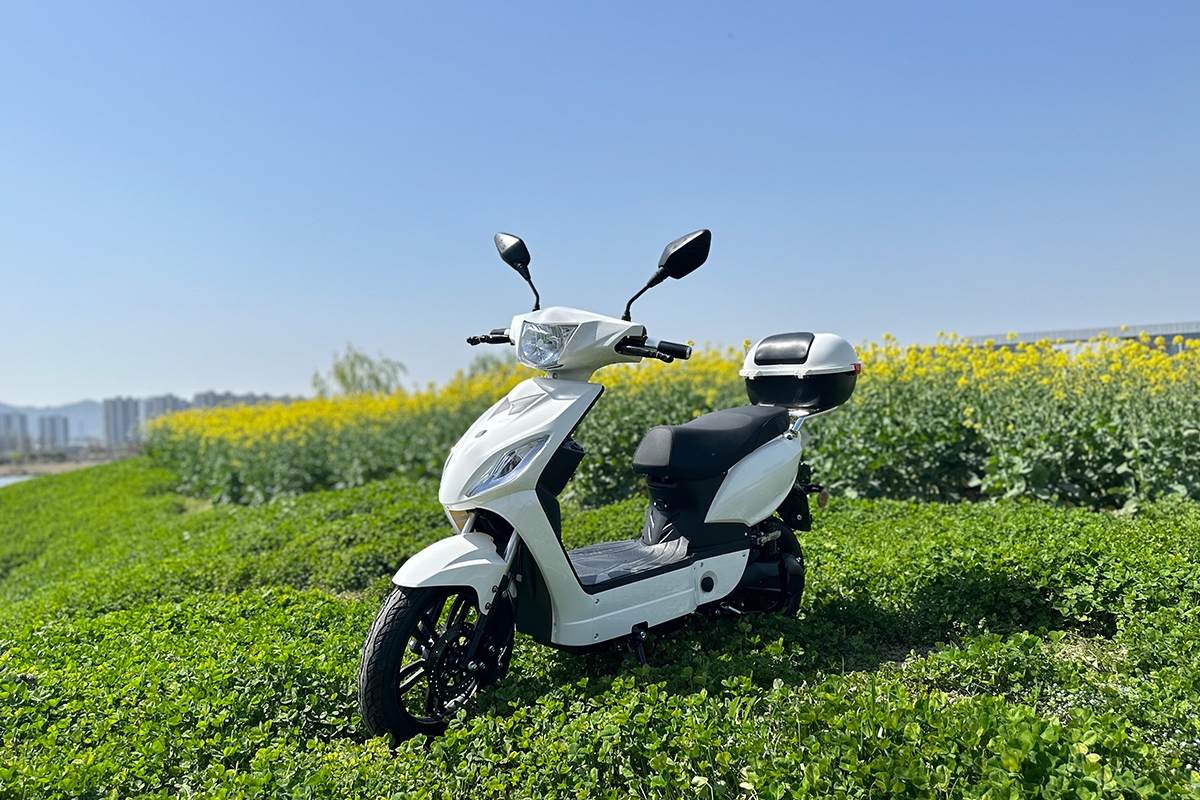 Electric vehicles.png