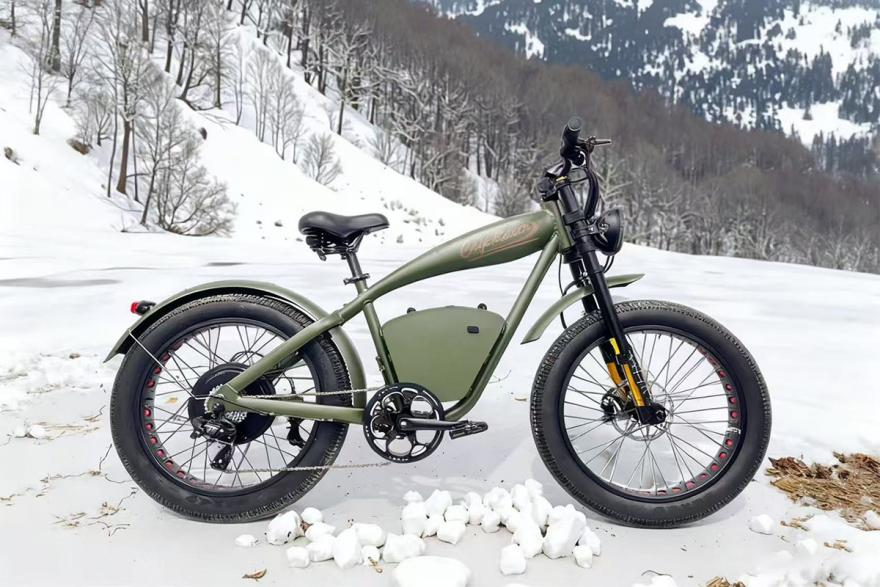 LCD screen ebike.png