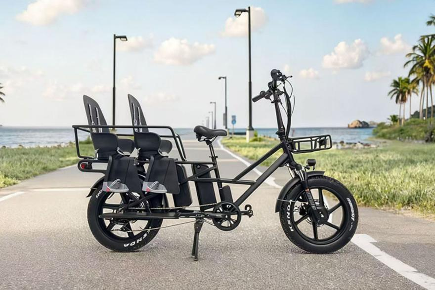 electric bikes with two batteries.png