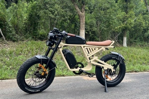 Exploring the Advantages of Dual Battery Electric Bikes