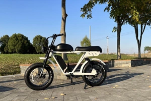 How to choose an electric bike?