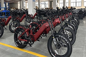 Is the ebike worth investing in？