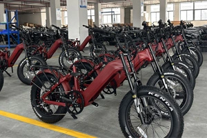 What kind of performance will a 1500w electric bike have?