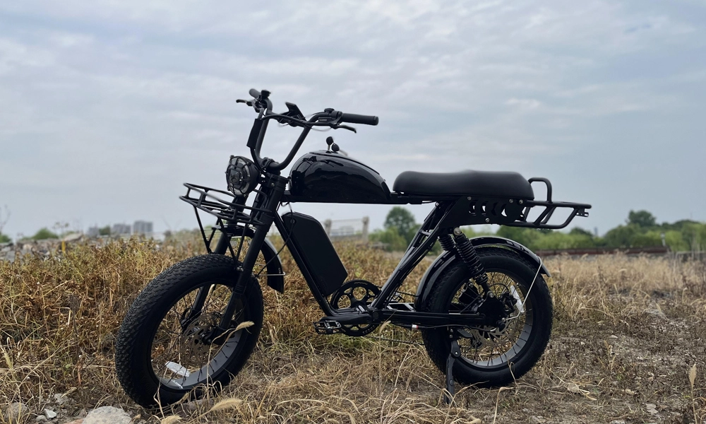 Why Americans prefer powerful e bikes？